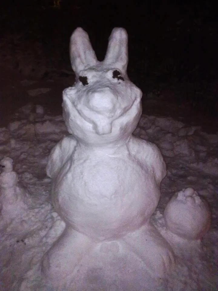 snowbunny.jpg