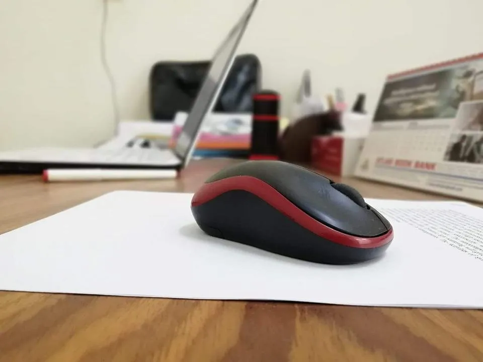 33046855_2179553995606247_2446413384686501888_o.jpg