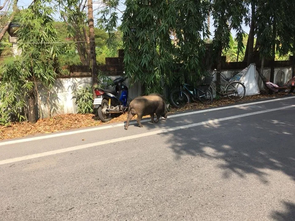 KakaoTalk_20180419_213121954.jpg