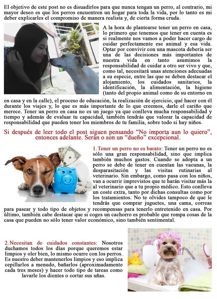Perritou 2.png
