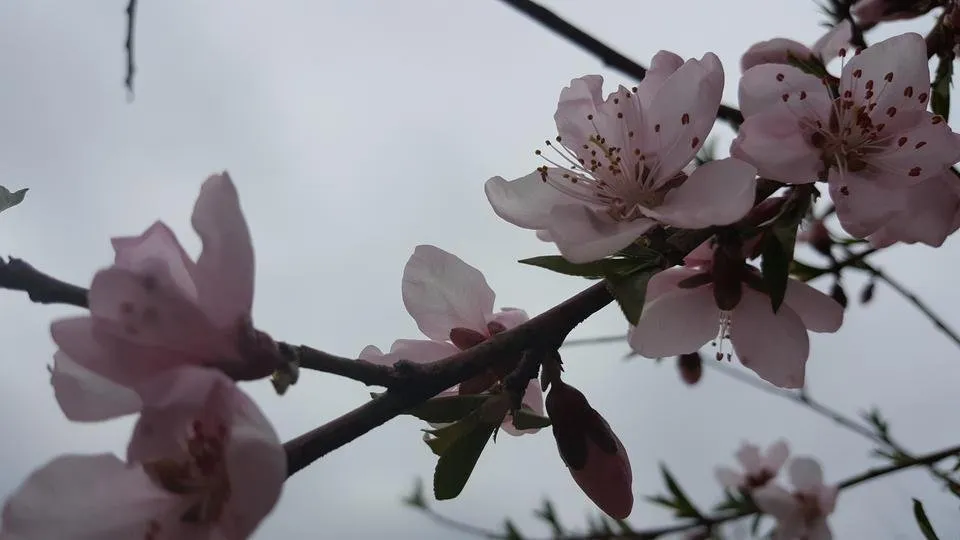 20180413_154429.jpg