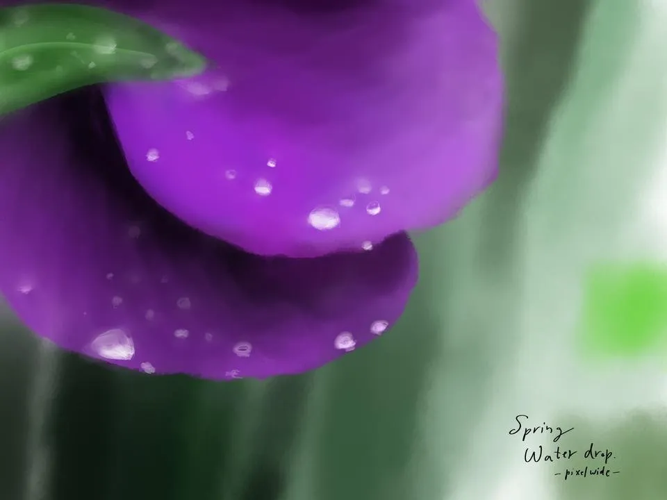 96897F8E-76BC-47C0-B7A1-FDB1D99E961A.jpeg