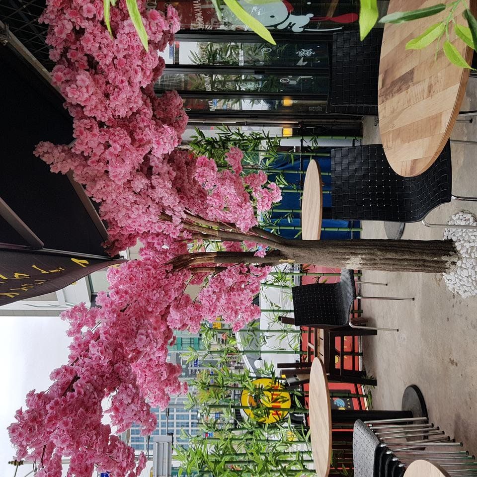 20180413_140044.jpg