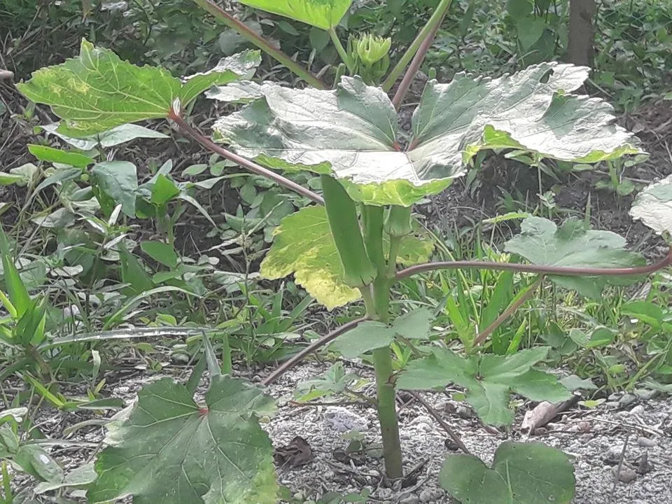20180330_085125.jpg