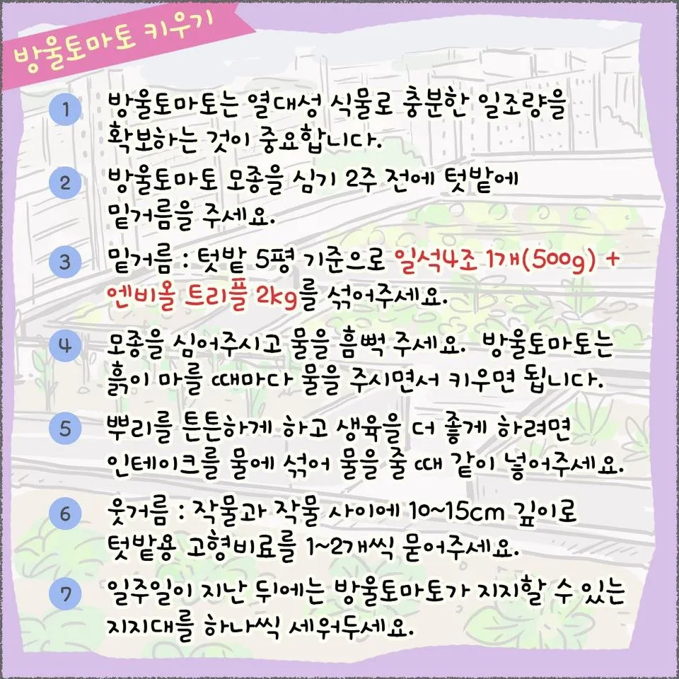 blog09_20.jpg
