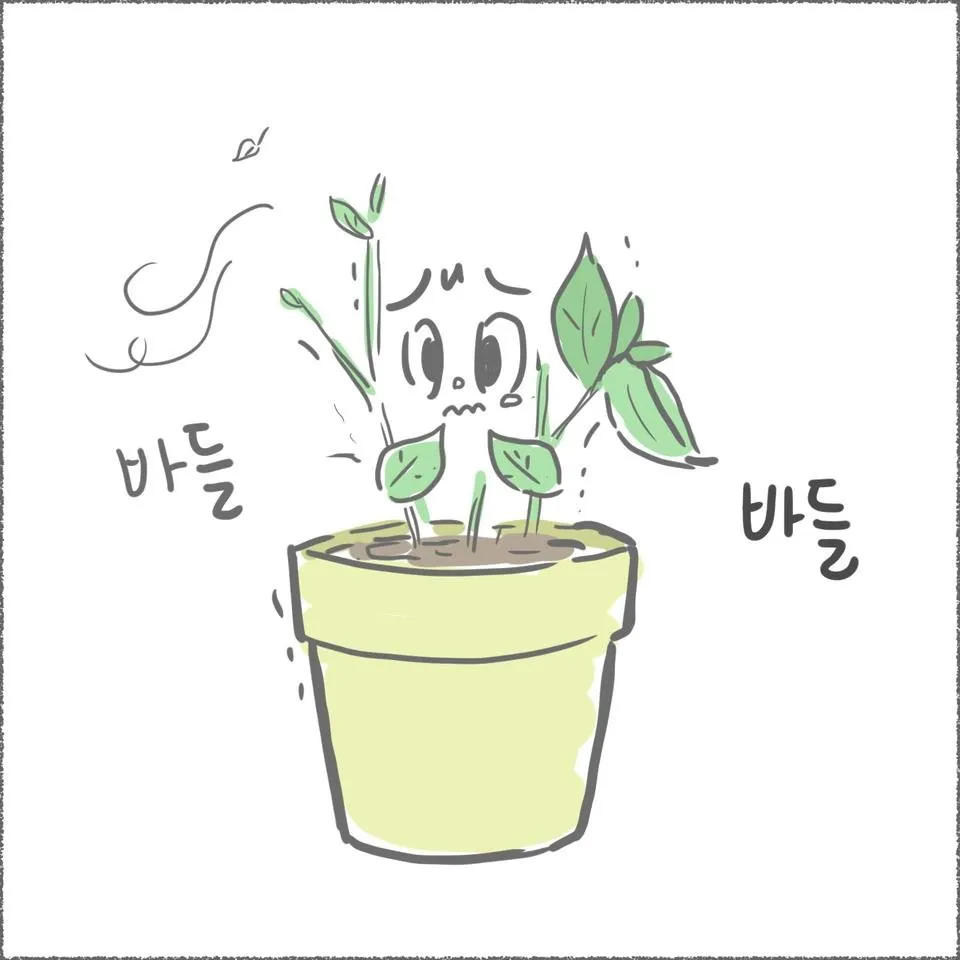blog10_14.jpg