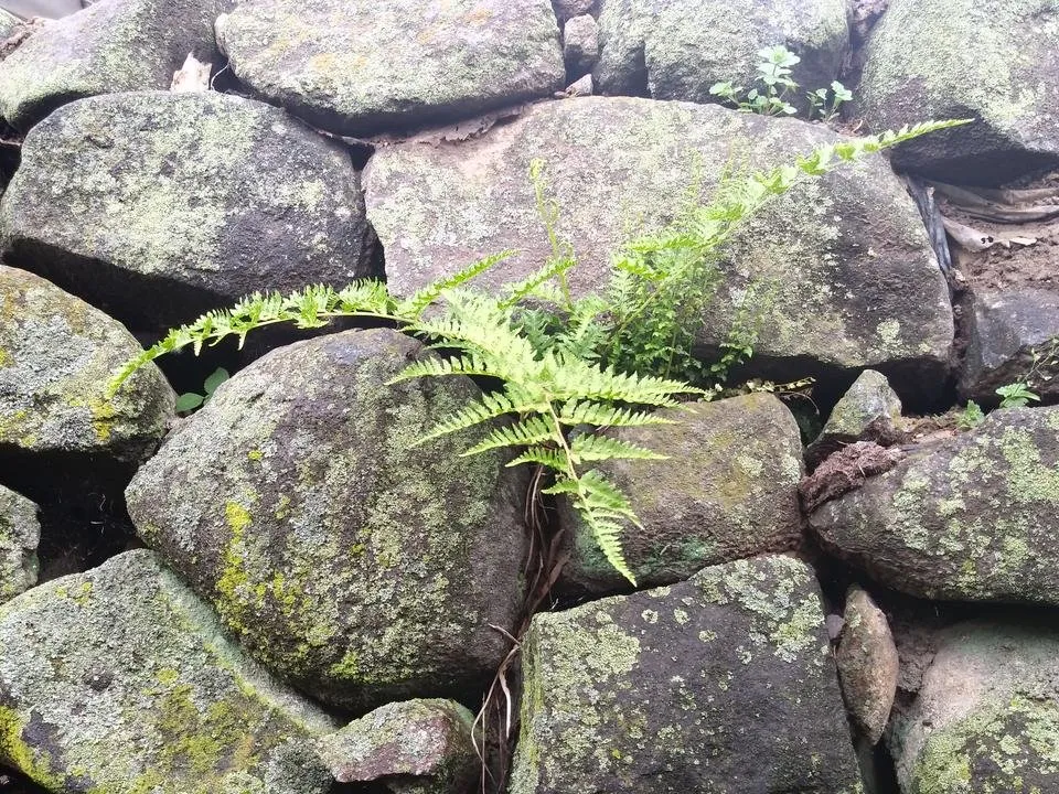 20180506_105707.jpg