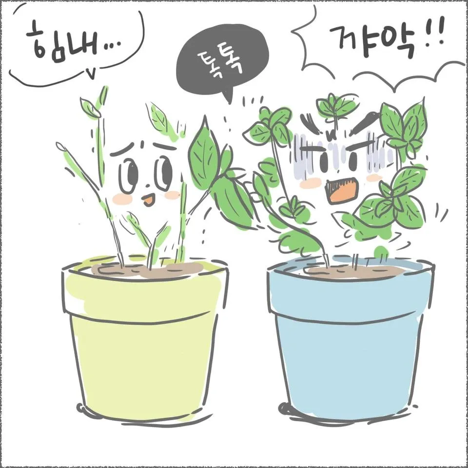 blog10_20.jpg