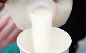 milk.jpg