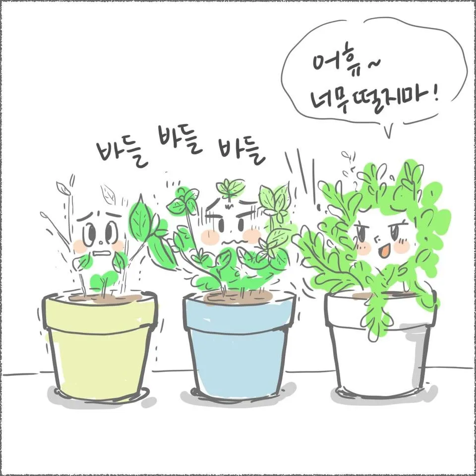 blog10_18.jpg