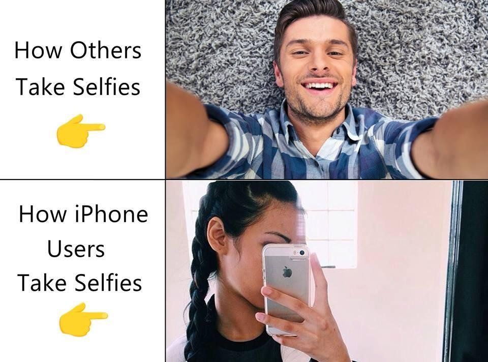 1036.jpg