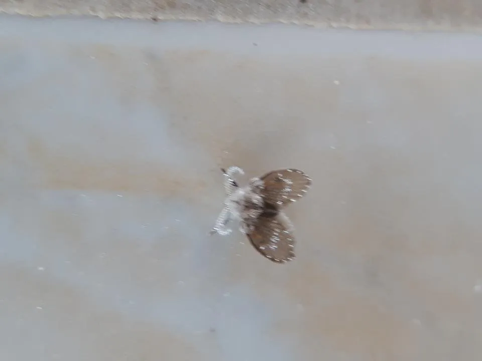 20180501_134432.jpg