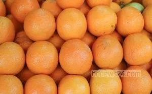 Orange(1).jpg