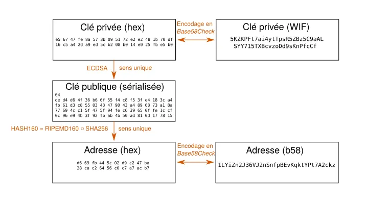 privkey_pubkey_address