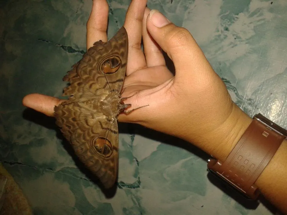 20170222_224145.jpg