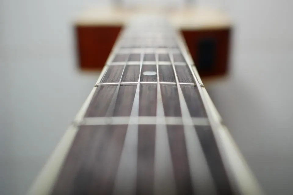 Guitar Neck