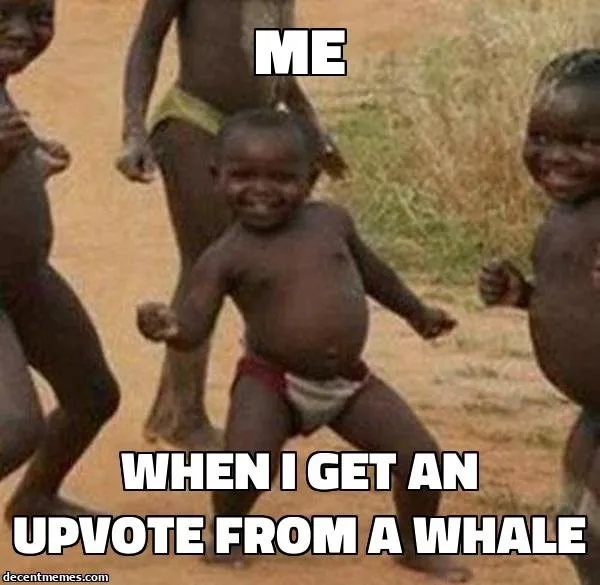 when_i_get_an_upvote_from_a_whale.jpg
