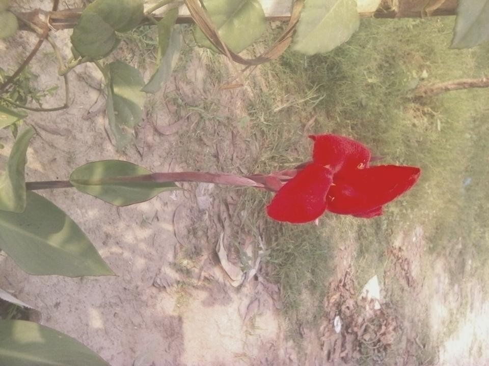 IMG_20180428_152407.jpg