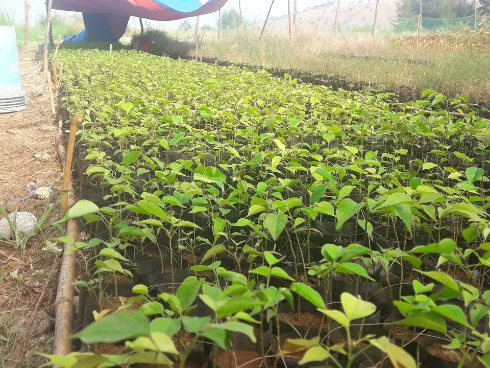 20180330_084940.jpg