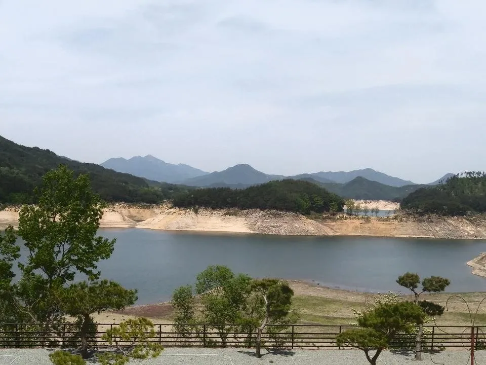 20180505_133154.jpg