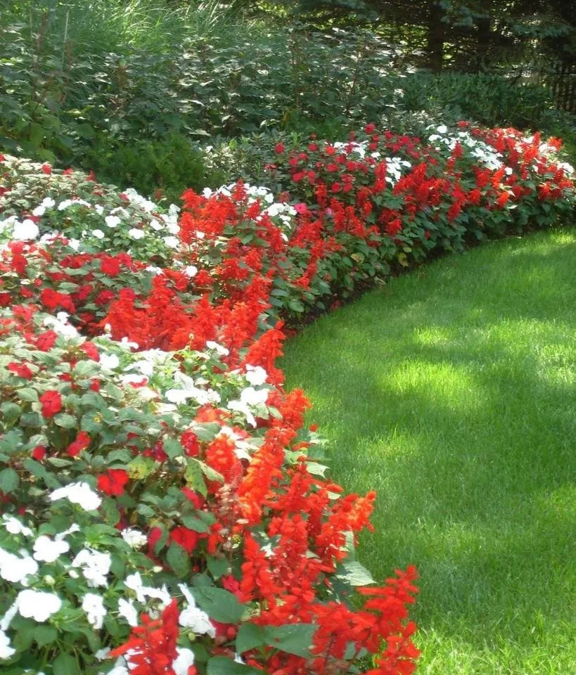 sweet-flower-garden-ideas-lawn-and-damput-home-interior-also-house-design-images-red-white-inspirational-874x1024.jpg