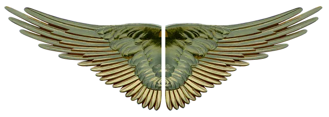 wing-2910113_640.png