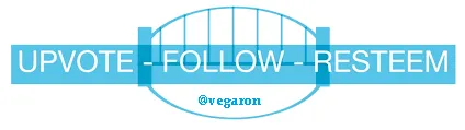 vegaron footer.png