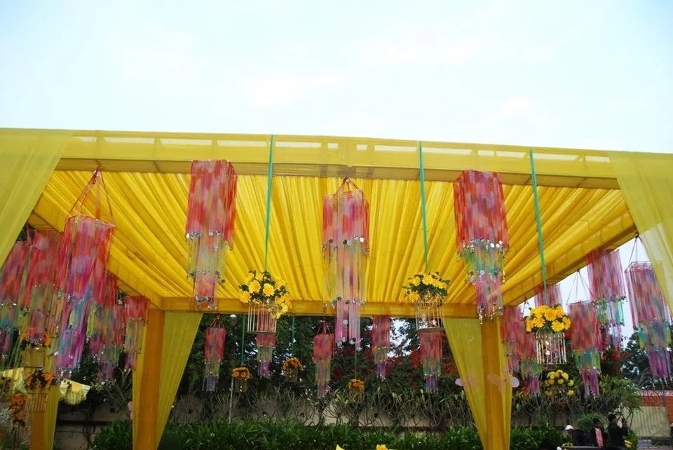 yellow24.jpg
