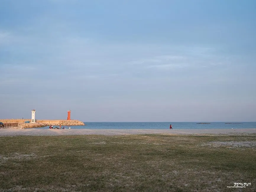 DSCF1651.jpg