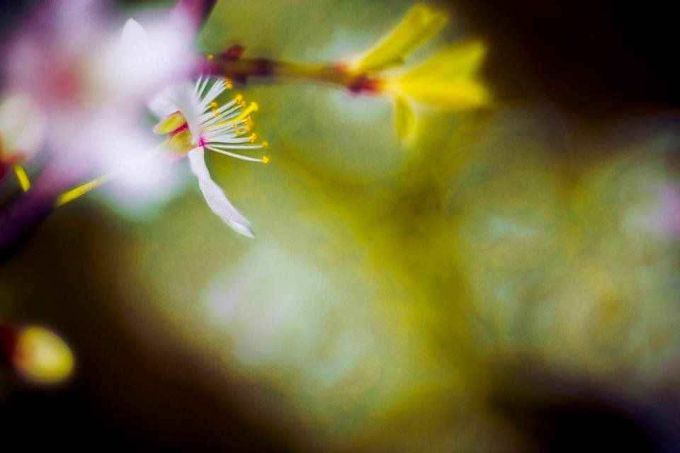 2018_04_28_271965.jpg