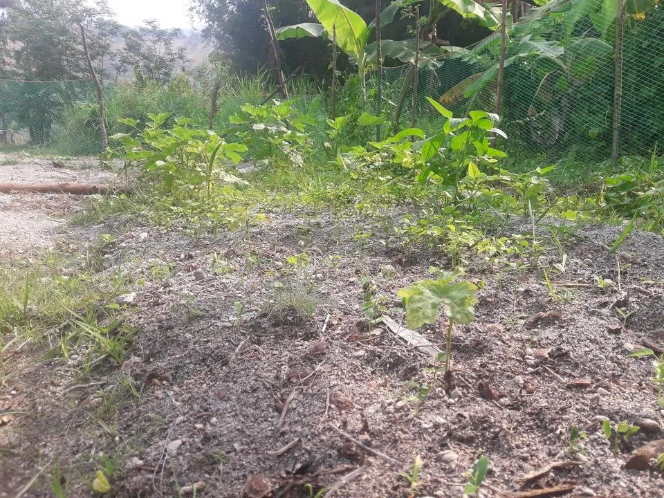 20180330_085144.jpg