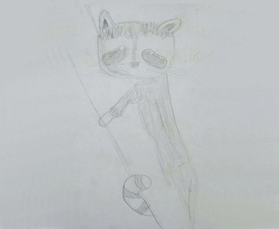 2018.05.12-浣熊.jpg