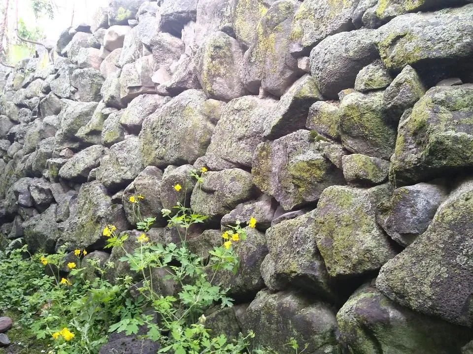 20180506_105634.jpg