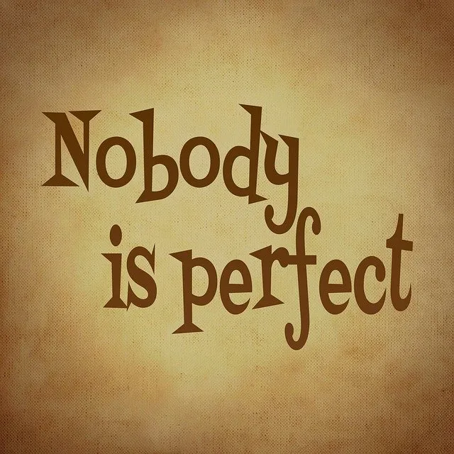 nobody-is-perfect-688369_640.jpg