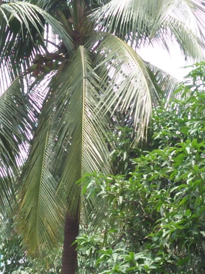 IMG20180515115740.jpg