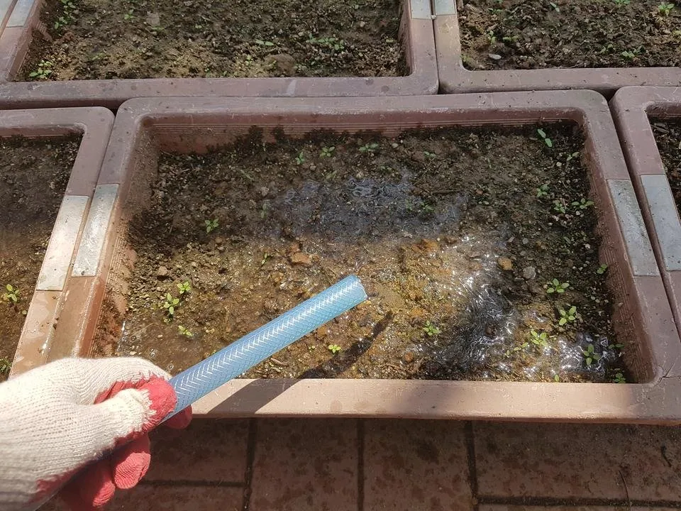 20180509_213525.jpg