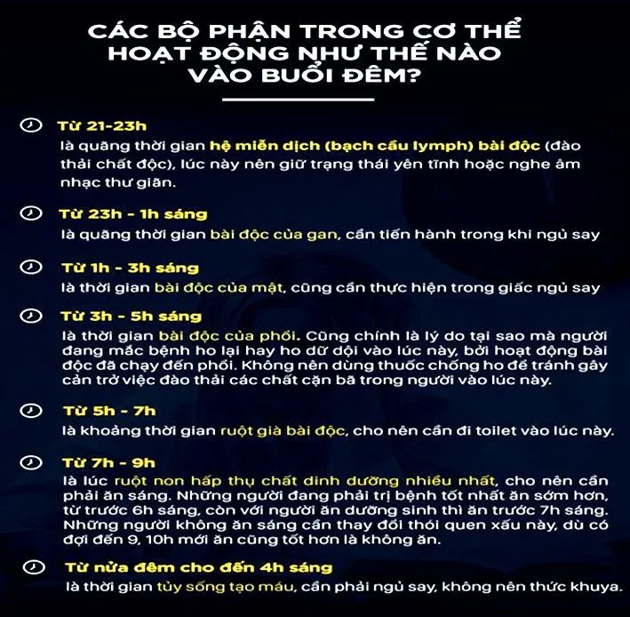 thoi gian hoat dong cua cac co quan noi tang vao buoi dem.jpg