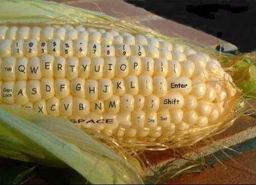 789460694397594.jpg