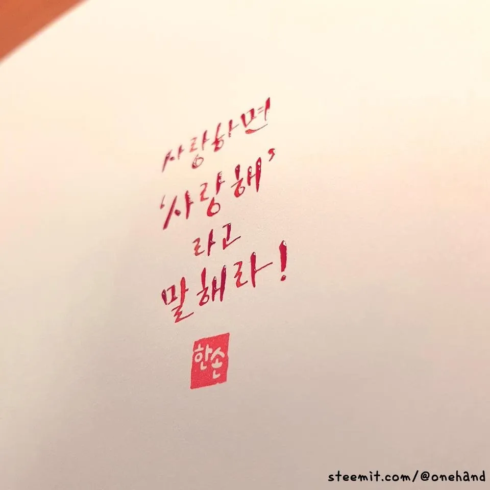 20180406_003741.jpg