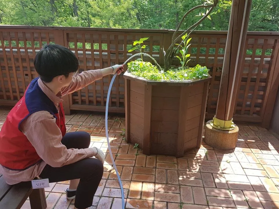 20180509_214619.jpg