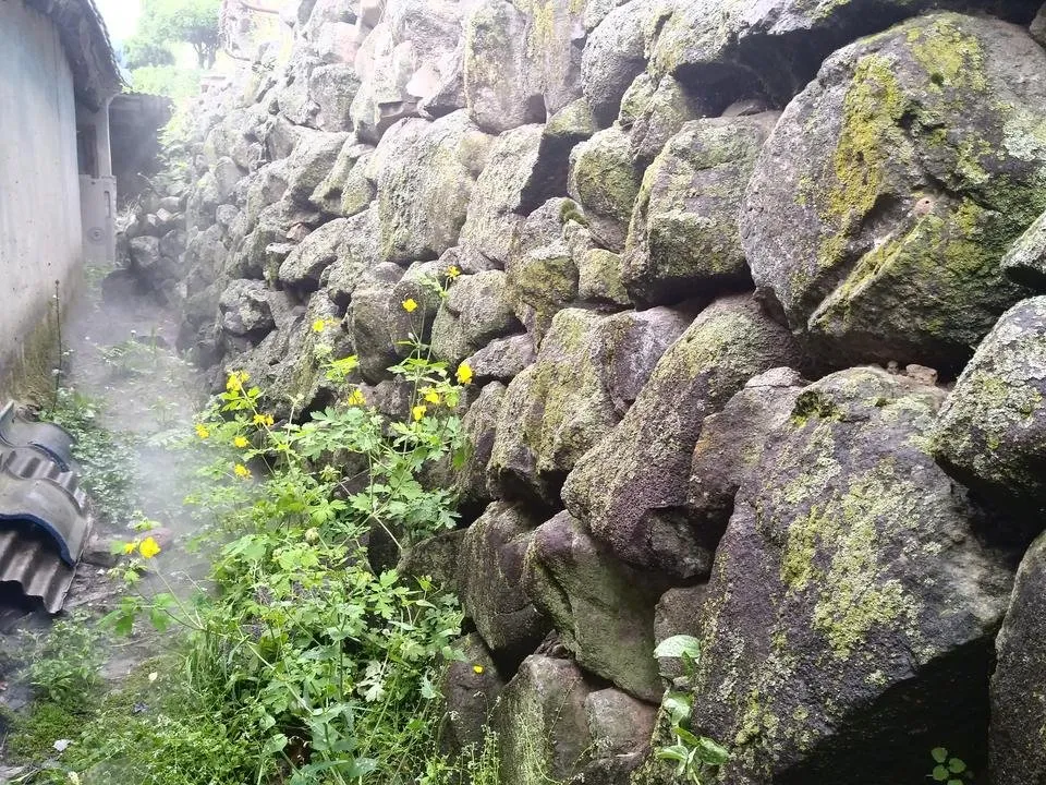 20180506_105748.jpg