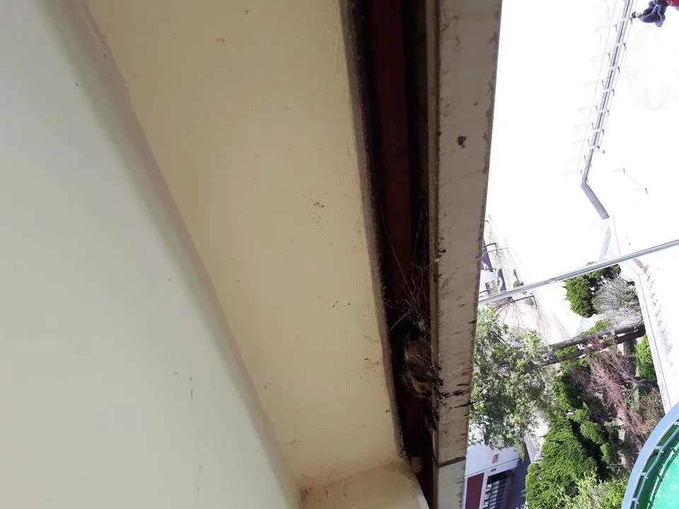 20180412_123801.jpg