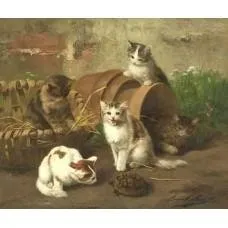 curious-kittens-228x228.jpg