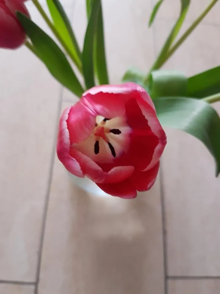 20180319_142542.jpg