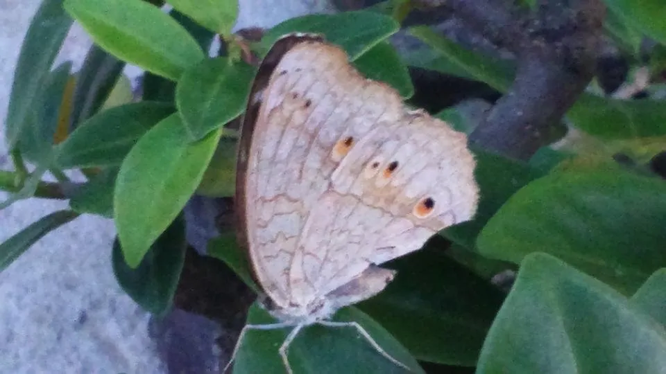 DSC_3016.JPG