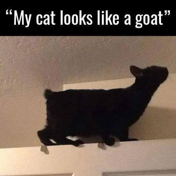 funny5 (74).jpg