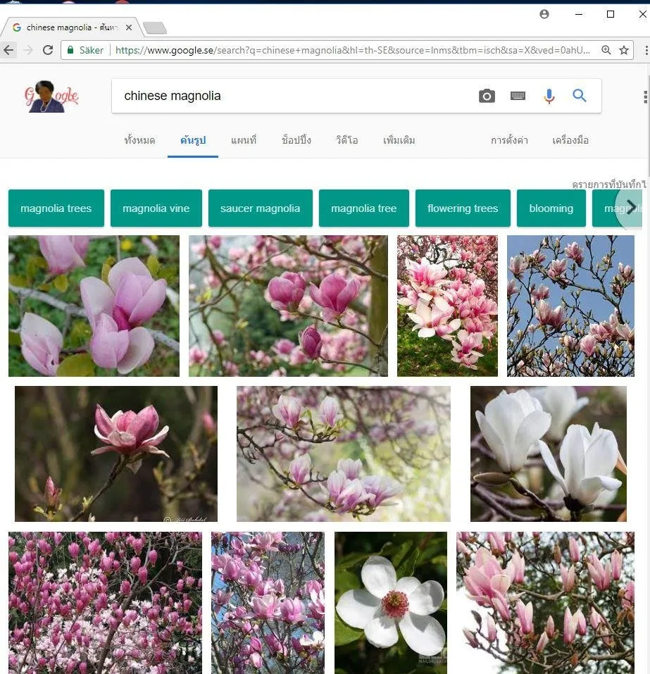 flower4.JPG