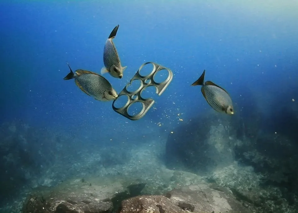 we-believers_saltwater-brewery_edible-six-pack-rings_dezeen_1568_8.jpg