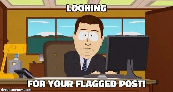 for_your_flagged_post!.jpg