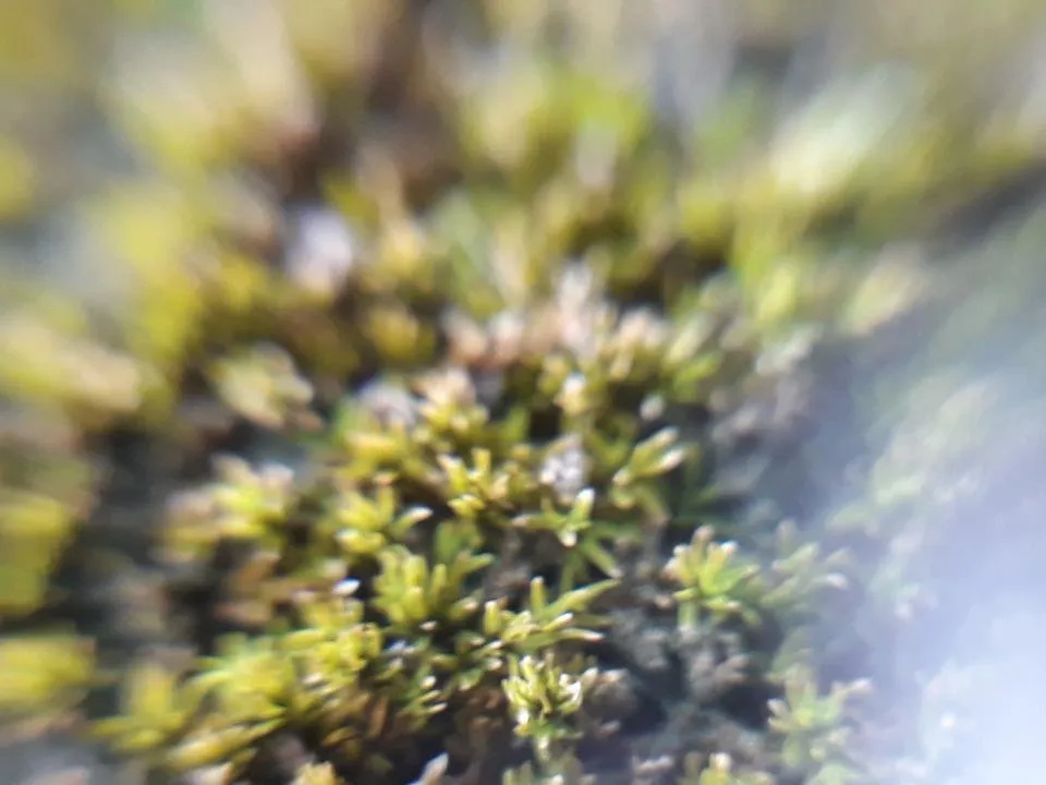 20180501_134716.jpg